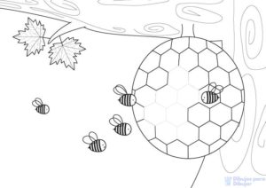 panal de abejas dibujo 1