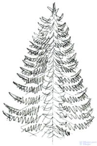 pinos de navidad para dibujar