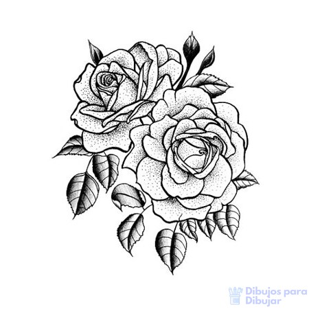Featured image of post Rosas Imagenes Para Dibujar A Lapiz Pues hoy vamos a ver c mo dibujar una rosa con un s lo l piz y
