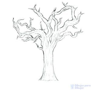 tronco arbol dibujo