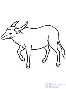 un dibujo de un toro