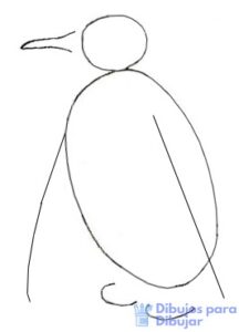 caricatura de pinguino