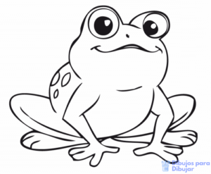 como dibujar una rana