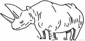 dibujar un rinoceronte