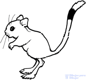 dibujos animados de ratas