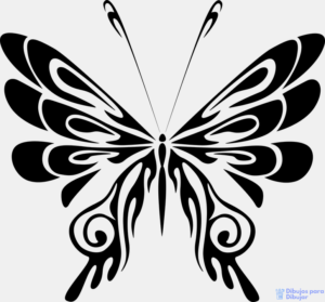 dibujos de mariposas para imprimir