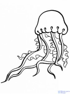 dibujos de medusas de mar