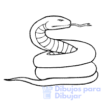 dibujos de serpientes para colorear
