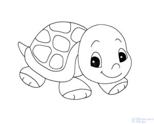 dibujos de tortugas marinas