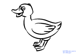 dibujos faciles de patos