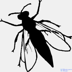imagenes de moscas en caricatura