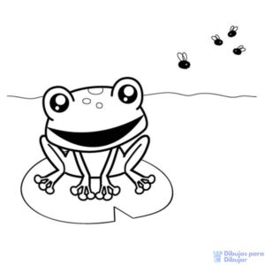 imagenes de ranas para dibujar