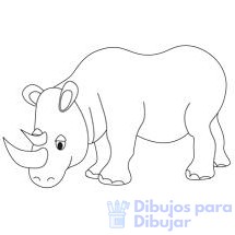 imagenes de rinocerontes bebes