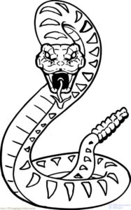 imagenes de serpientes cobras