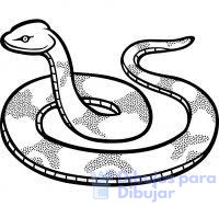 imagenes de serpientes para colorear