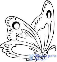 mariposa dibujo