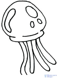 medusa animal dibujo