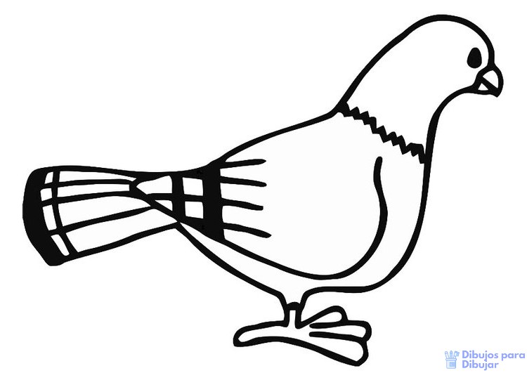 磊 Los mejores dibujos de palomas para dibujar