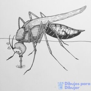 mosquito del dengue sintomas