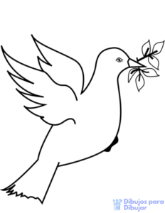 paloma de la paz dibujo