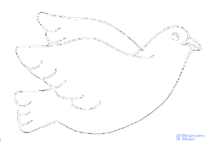 palomas de la paz para imprimir