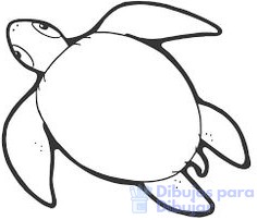 tortuga marina dibujo