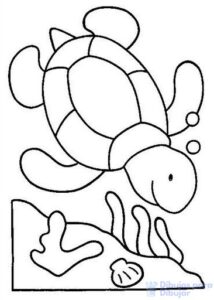 tortugas para dibujar